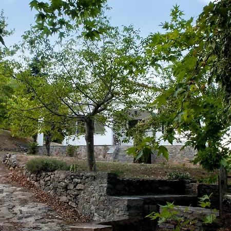 Mountain House - Setta